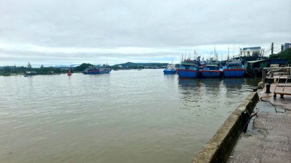 Lãnh đạo Sở Xây dựng đi thực tế nắm bắt công tác phòng, chống bão, công tác bảo đảm an toàn giao thông đường thuỷ nội địa và một số tuyến đường đang khai thác